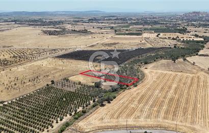 İzmir Foça Kocamehmetler Satılık Tarla