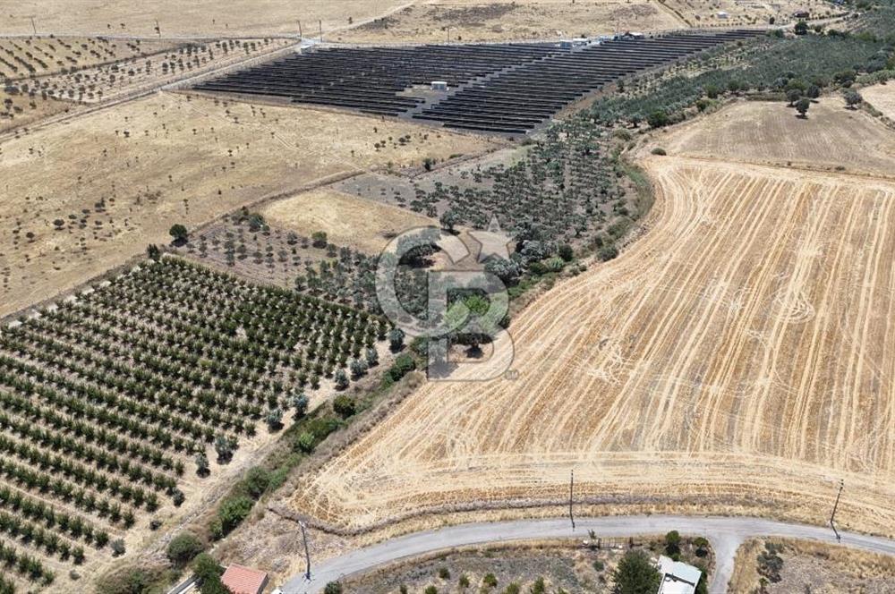İzmir Foça Kocamehmetler Satılık Tarla