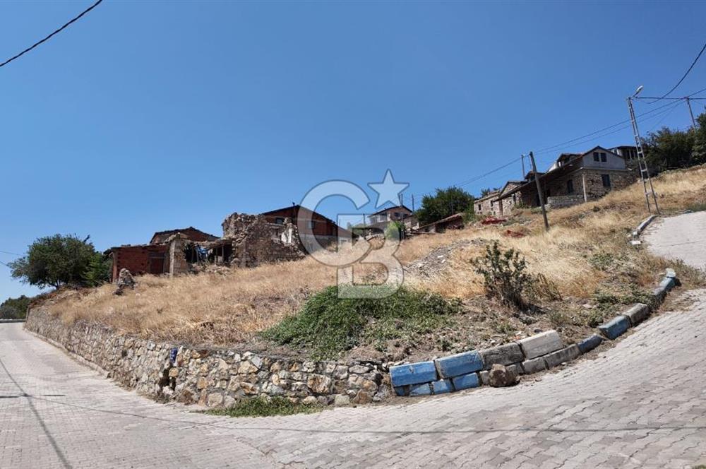 İzmir Foça Kocamehmetler Köy İçi Arsa