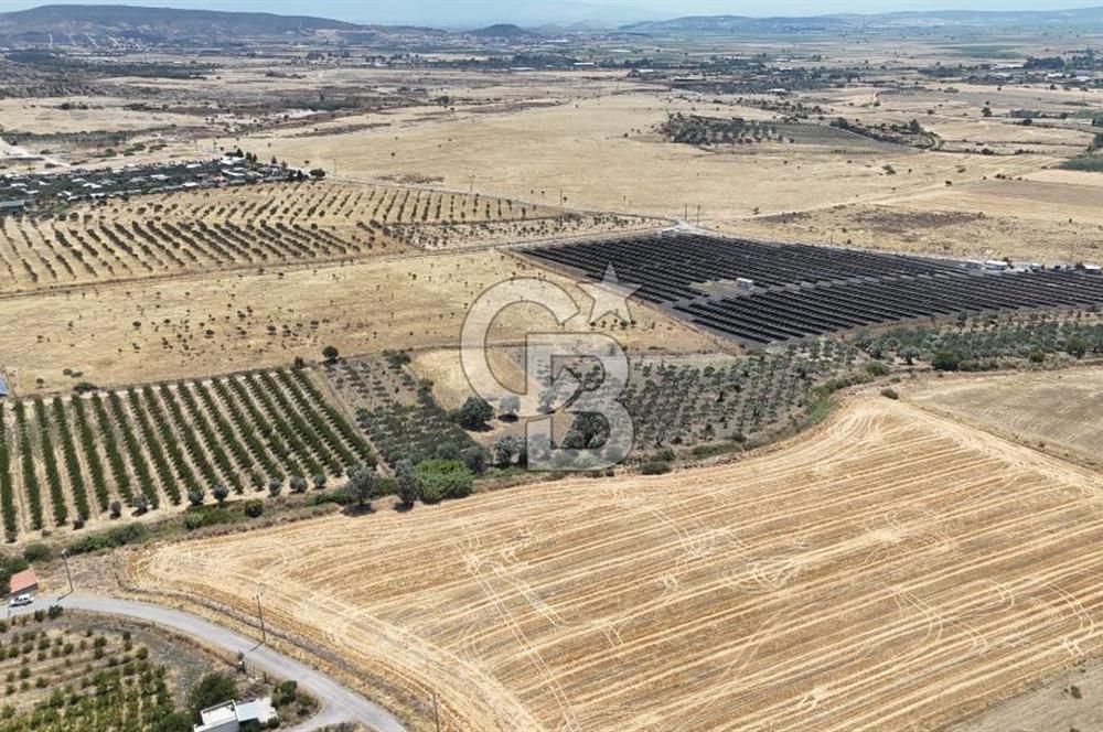İzmir Foça Kocamehmetler Satılık Tarla