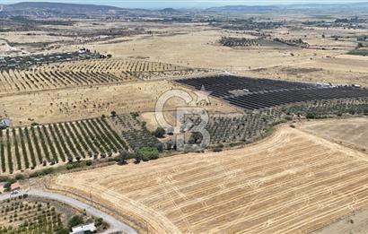 İzmir Foça Kocamehmetler Satılık Tarla