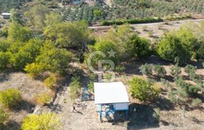 MUDANYA DEREKÖY'de DOĞAYLA İÇ İÇE BAĞ EVİ VE MEYVE BAHÇESİ