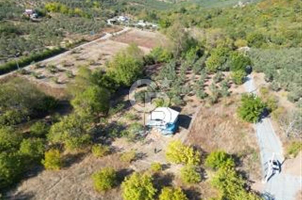 MUDANYA DEREKÖY'de DOĞAYLA İÇ İÇE BAĞ EVİ VE MEYVE BAHÇESİ