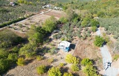 MUDANYA DEREKÖY'de DOĞAYLA İÇ İÇE BAĞ EVİ VE MEYVE BAHÇESİ