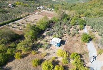 MUDANYA DEREKÖY'de DOĞAYLA İÇ İÇE BAĞ EVİ VE MEYVE BAHÇESİ - 5 - 320226