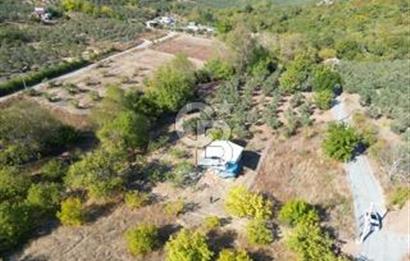 MUDANYA DEREKÖY'de DOĞAYLA İÇ İÇE BAĞ EVİ VE MEYVE BAHÇESİ