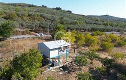 MUDANYA DEREKÖY'de DOĞAYLA İÇ İÇE BAĞ EVİ VE MEYVE BAHÇESİ