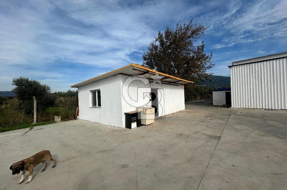 Düşük Kiralı/Devren Kiralık Gıda Üretim ve Soğukhava Tesisi