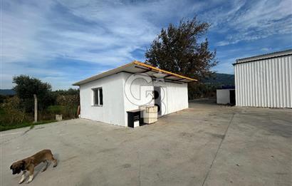 Düşük Kiralı/Devren Kiralık Gıda Üretim ve Soğukhava Tesisi