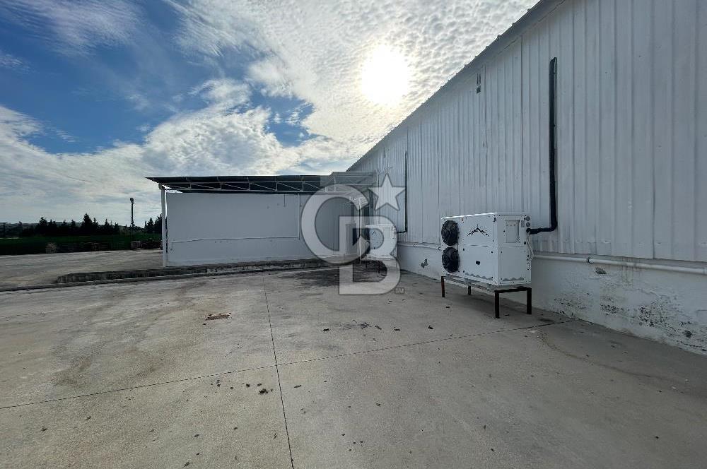 Düşük Kiralı/Devren Kiralık Gıda Üretim ve Soğukhava Tesisi