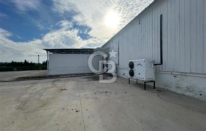 Düşük Kiralı/Devren Kiralık Gıda Üretim ve Soğukhava Tesisi