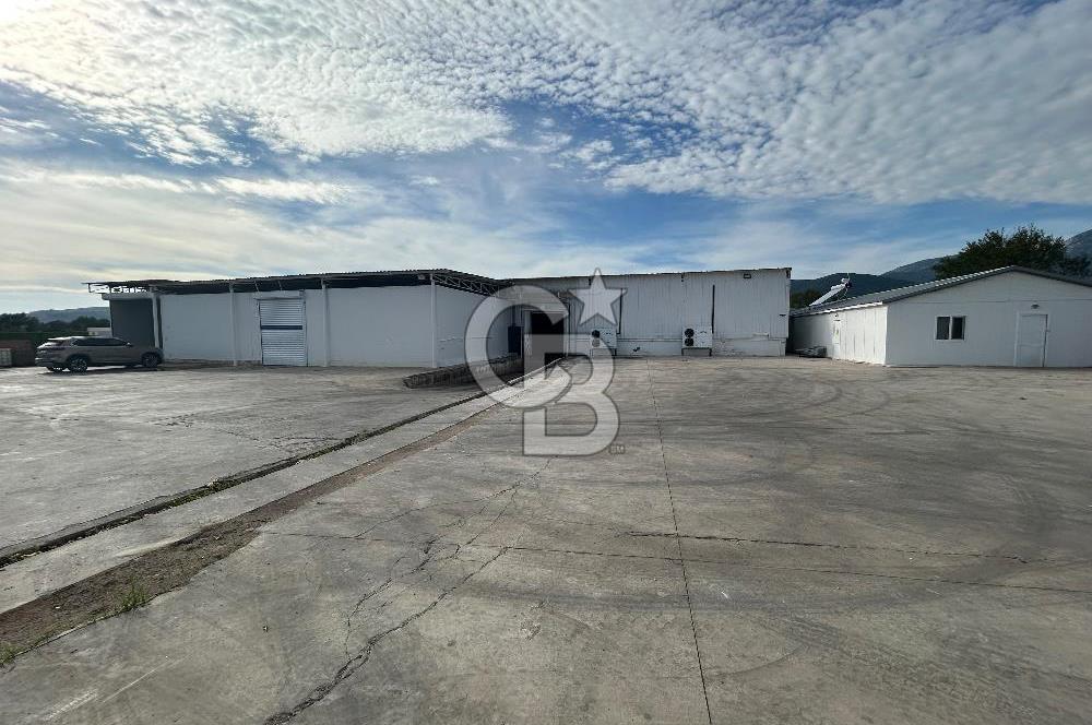 Düşük Kiralı/Devren Kiralık Gıda Üretim ve Soğukhava Tesisi