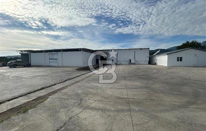 Düşük Kiralı/Devren Kiralık Gıda Üretim ve Soğukhava Tesisi