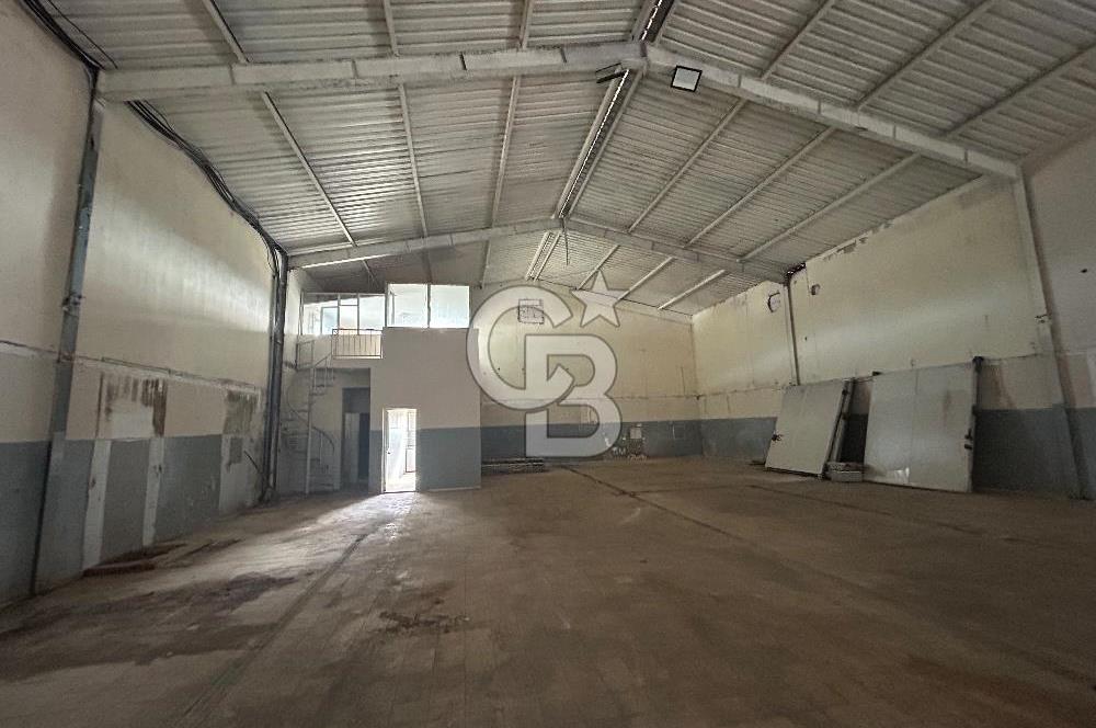 Düşük Kiralı/Devren Kiralık Gıda Üretim ve Soğukhava Tesisi