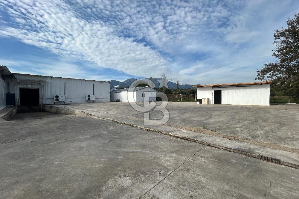 Düşük Kiralı/Devren Kiralık Gıda Üretim ve Soğukhava Tesisi