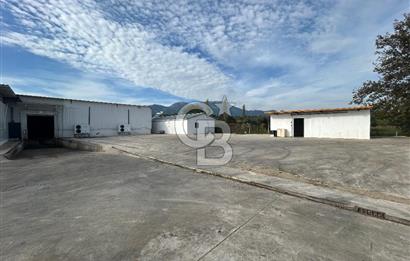 Düşük Kiralı/Devren Kiralık Gıda Üretim ve Soğukhava Tesisi