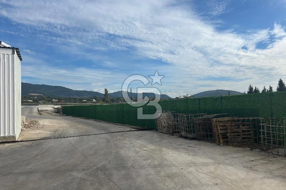 Düşük Kiralı/Devren Kiralık Gıda Üretim ve Soğukhava Tesisi