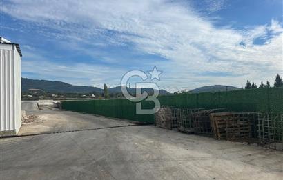 Düşük Kiralı/Devren Kiralık Gıda Üretim ve Soğukhava Tesisi