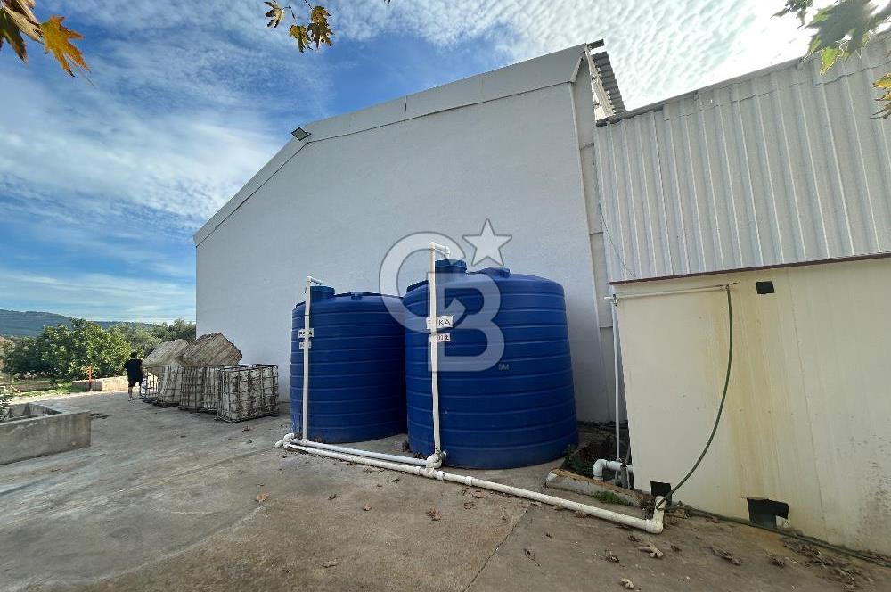 Düşük Kiralı/Devren Kiralık Gıda Üretim ve Soğukhava Tesisi