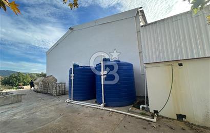 Düşük Kiralı/Devren Kiralık Gıda Üretim ve Soğukhava Tesisi