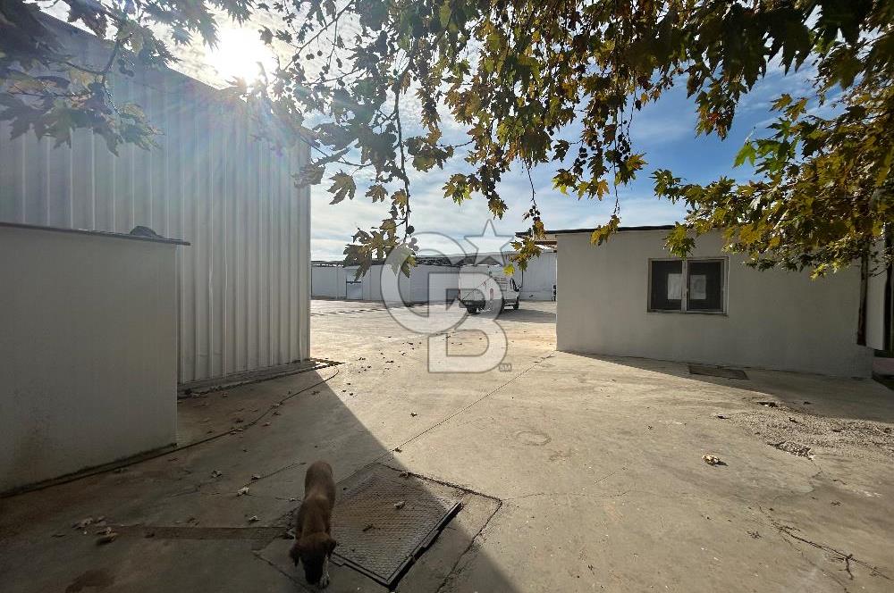 Düşük Kiralı/Devren Kiralık Gıda Üretim ve Soğukhava Tesisi