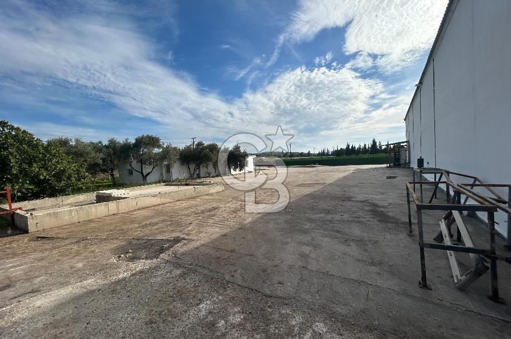 Düşük Kiralı/Devren Kiralık Gıda Üretim ve Soğukhava Tesisi