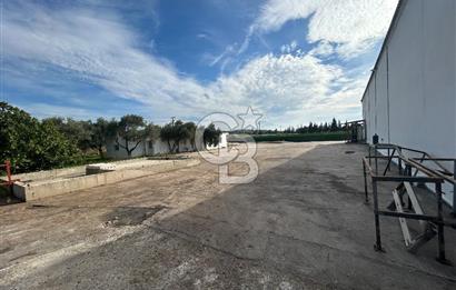 Düşük Kiralı/Devren Kiralık Gıda Üretim ve Soğukhava Tesisi