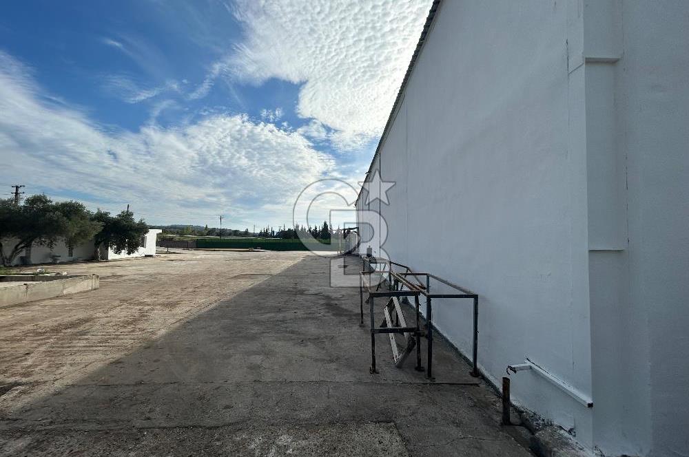 Düşük Kiralı/Devren Kiralık Gıda Üretim ve Soğukhava Tesisi