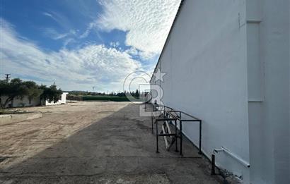 Düşük Kiralı/Devren Kiralık Gıda Üretim ve Soğukhava Tesisi