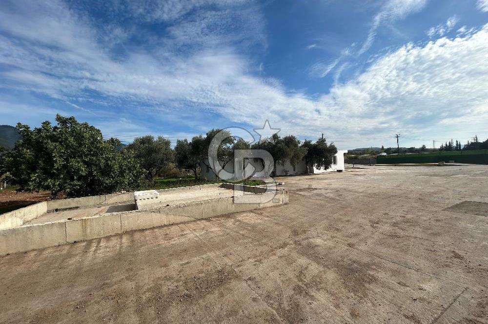 Düşük Kiralı/Devren Kiralık Gıda Üretim ve Soğukhava Tesisi