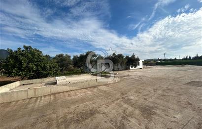 Düşük Kiralı/Devren Kiralık Gıda Üretim ve Soğukhava Tesisi