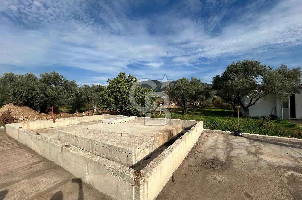 Düşük Kiralı/Devren Kiralık Gıda Üretim ve Soğukhava Tesisi