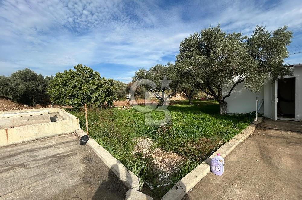 Düşük Kiralı/Devren Kiralık Gıda Üretim ve Soğukhava Tesisi