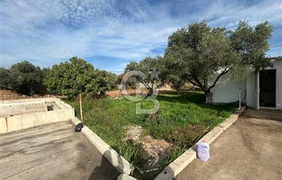 Düşük Kiralı/Devren Kiralık Gıda Üretim ve Soğukhava Tesisi