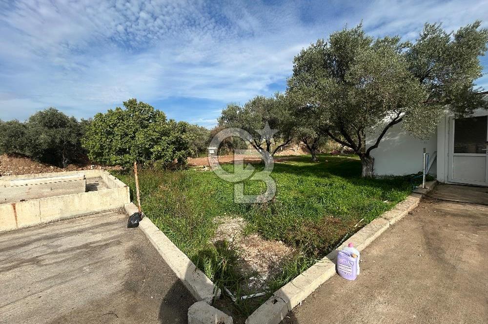 Düşük Kiralı/Devren Kiralık Gıda Üretim ve Soğukhava Tesisi