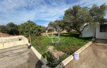 Düşük Kiralı/Devren Kiralık Gıda Üretim ve Soğukhava Tesisi