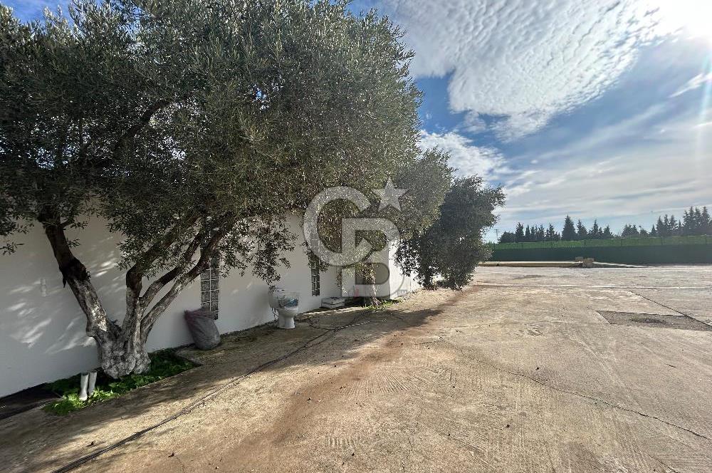 Düşük Kiralı/Devren Kiralık Gıda Üretim ve Soğukhava Tesisi