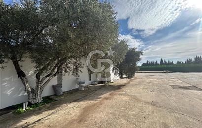 Düşük Kiralı/Devren Kiralık Gıda Üretim ve Soğukhava Tesisi