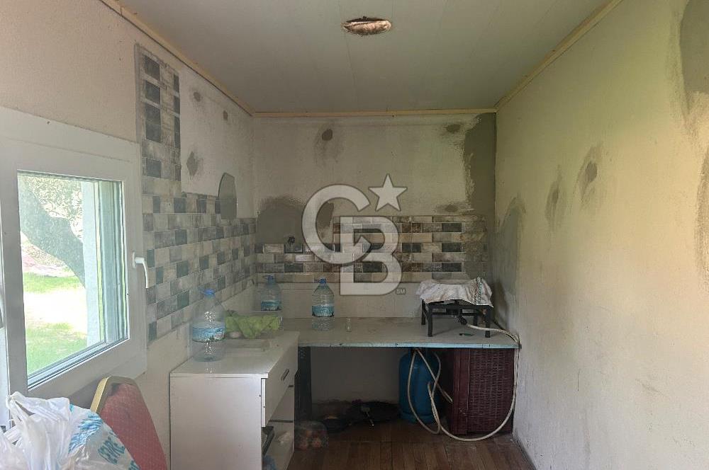 Düşük Kiralı/Devren Kiralık Gıda Üretim ve Soğukhava Tesisi