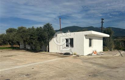 Düşük Kiralı/Devren Kiralık Gıda Üretim ve Soğukhava Tesisi