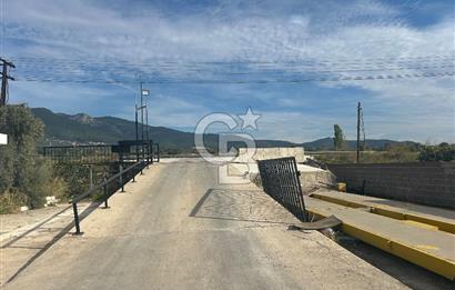 Düşük Kiralı/Devren Kiralık Gıda Üretim ve Soğukhava Tesisi