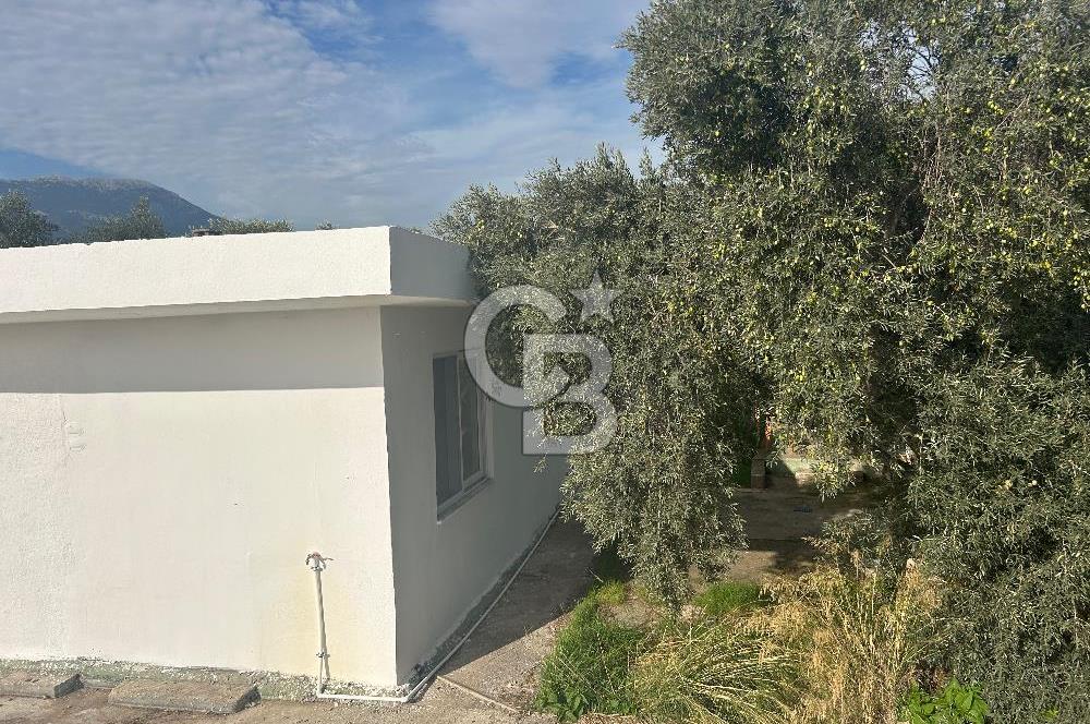 Düşük Kiralı/Devren Kiralık Gıda Üretim ve Soğukhava Tesisi