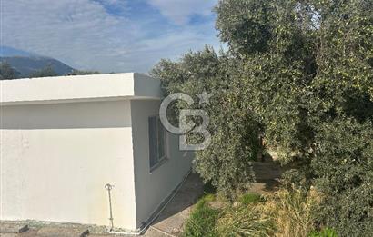 Düşük Kiralı/Devren Kiralık Gıda Üretim ve Soğukhava Tesisi