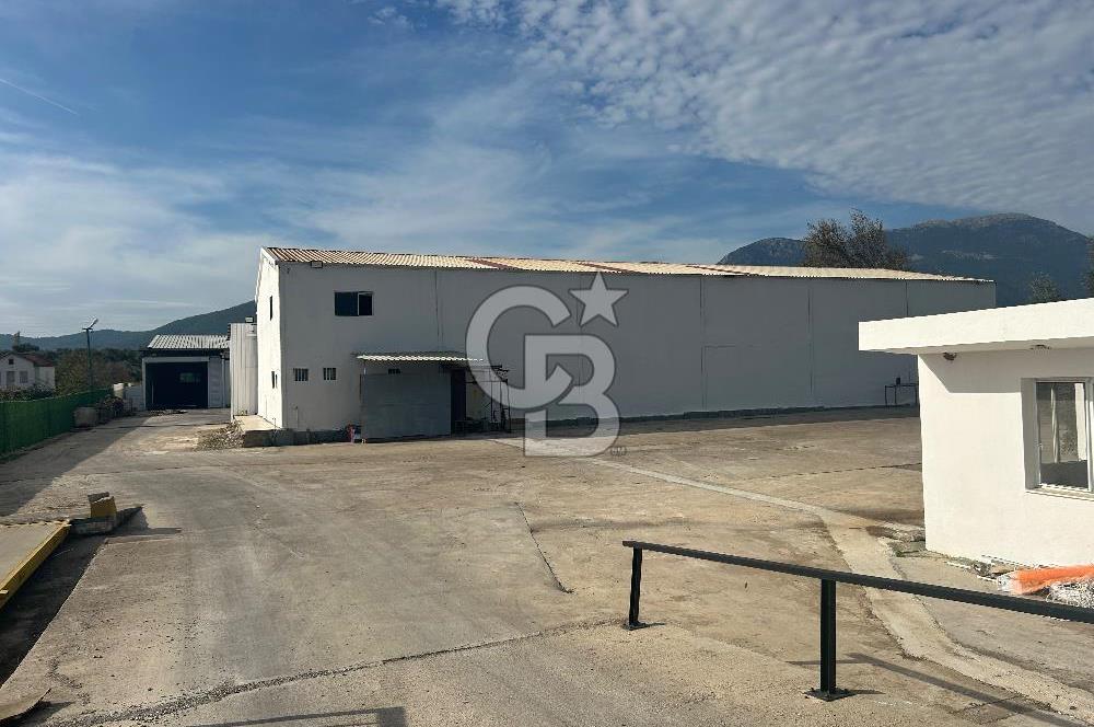 Düşük Kiralı/Devren Kiralık Gıda Üretim ve Soğukhava Tesisi