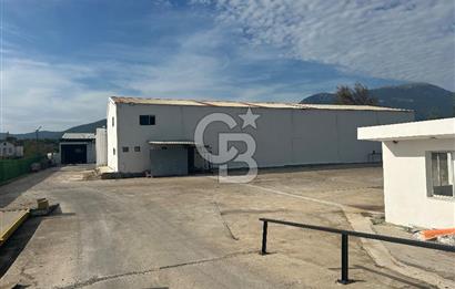 Düşük Kiralı/Devren Kiralık Gıda Üretim ve Soğukhava Tesisi