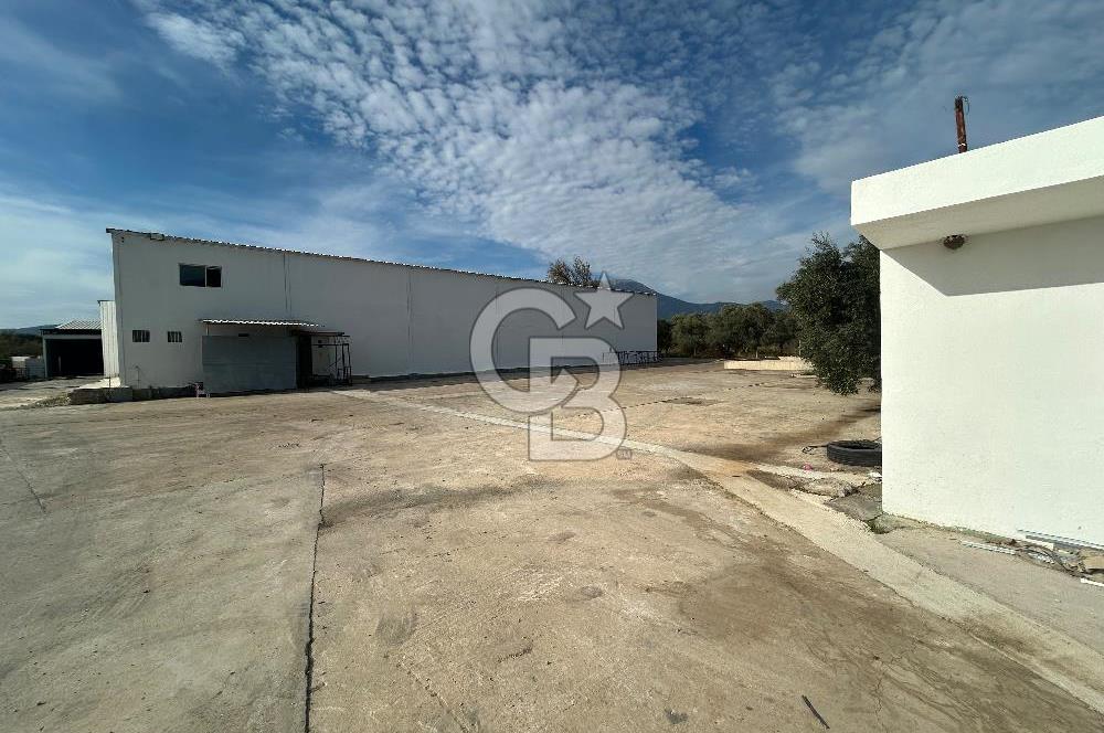 Düşük Kiralı/Devren Kiralık Gıda Üretim ve Soğukhava Tesisi