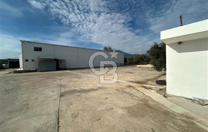 Düşük Kiralı/Devren Kiralık Gıda Üretim ve Soğukhava Tesisi