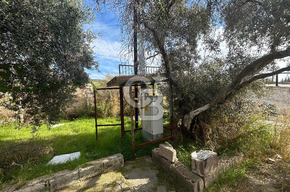 Düşük Kiralı/Devren Kiralık Gıda Üretim ve Soğukhava Tesisi