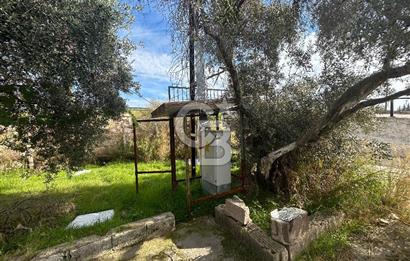 Düşük Kiralı/Devren Kiralık Gıda Üretim ve Soğukhava Tesisi