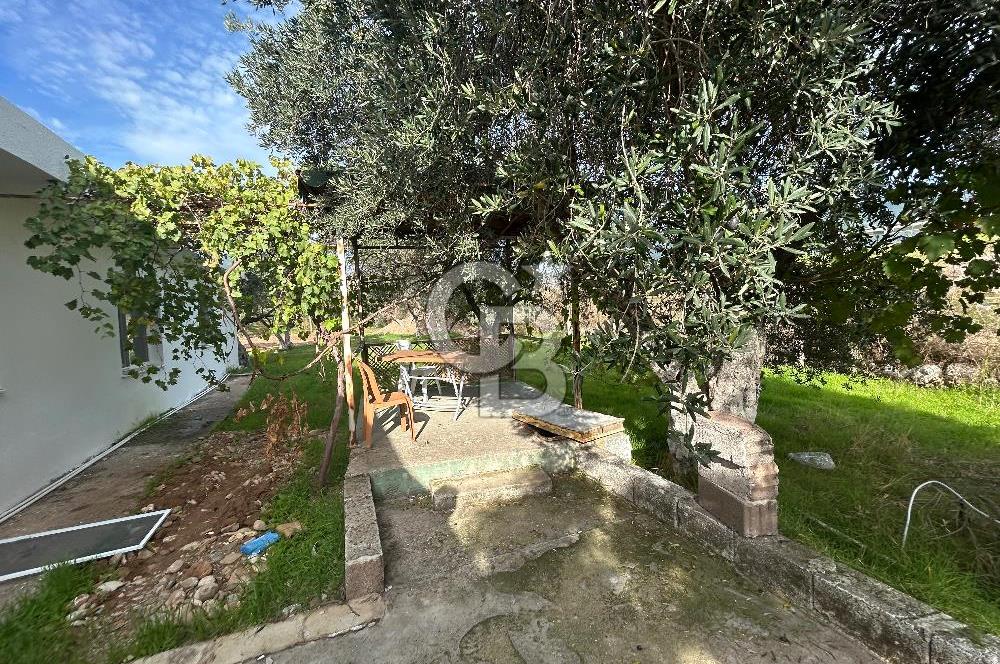 Düşük Kiralı/Devren Kiralık Gıda Üretim ve Soğukhava Tesisi